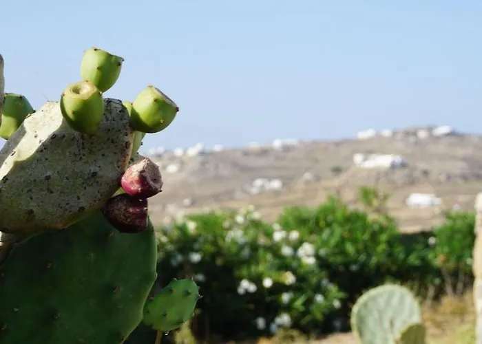 Вилла Panormos Panorama Панормос-Миконос